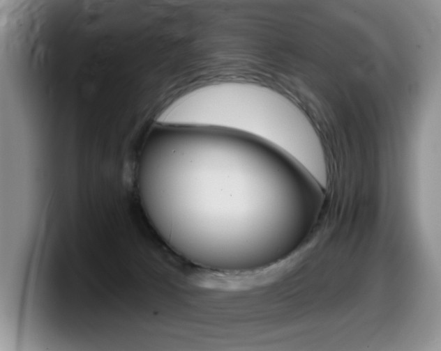 X0000099480033200805090842