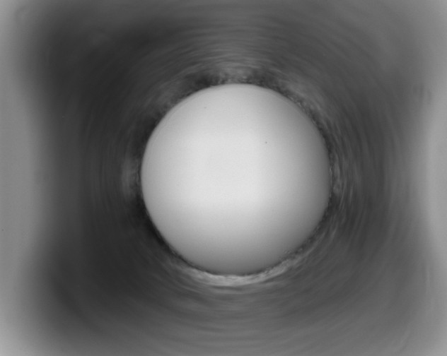 X0000099480034200805090842