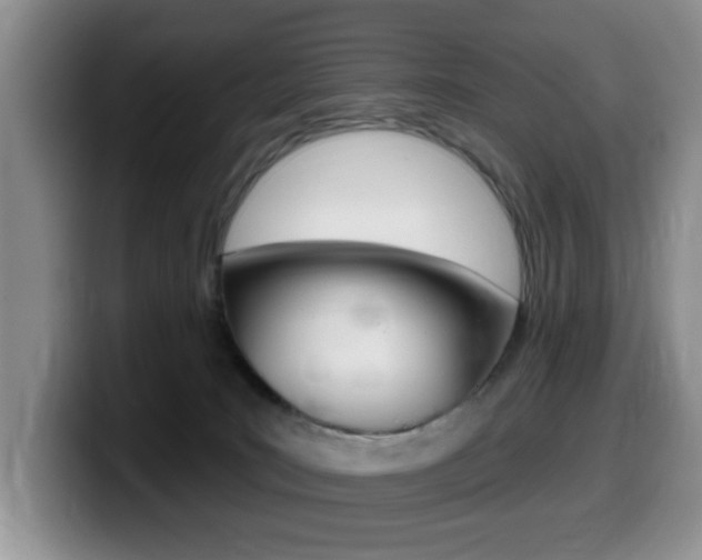 X0000099480035200805090842