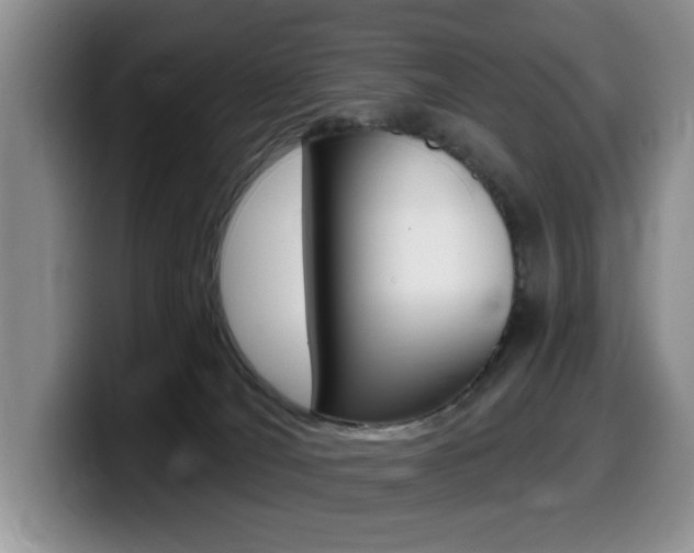 X0000099480036200805090842