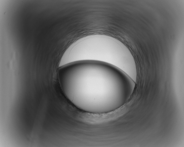 X0000099480037200805090842