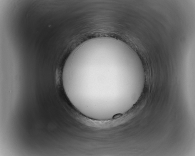 X0000099480038200805090842