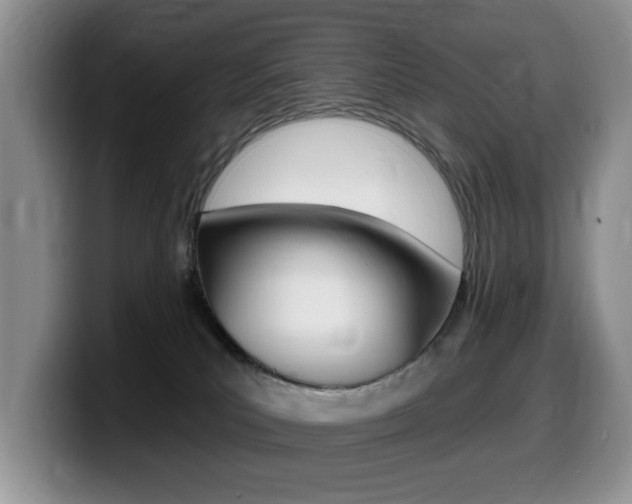 X0000099480039200805090842