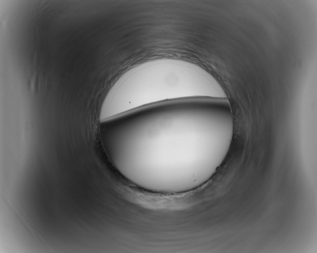 X0000099480040200805090842