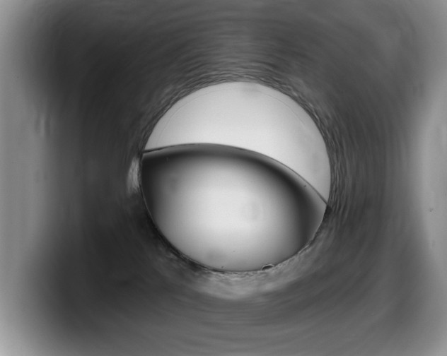 X0000099480041200805090842