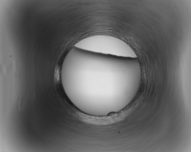 X0000099480042200805090842