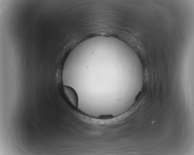 X0000099480043200805090842