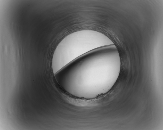 X0000099480044200805090842
