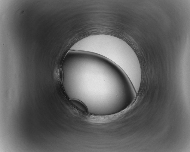 X0000099480045200805090842