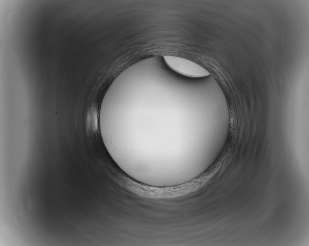 X0000099480046200805090842