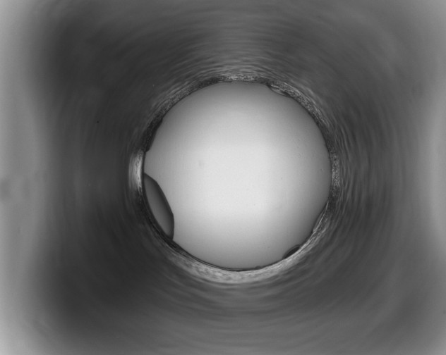 X0000099480047200805090842