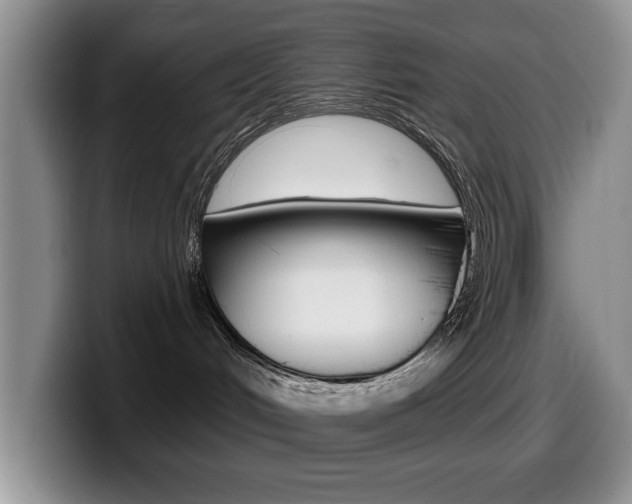 X0000099480048200805090842