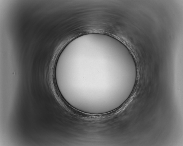 X0000099480049200805090841