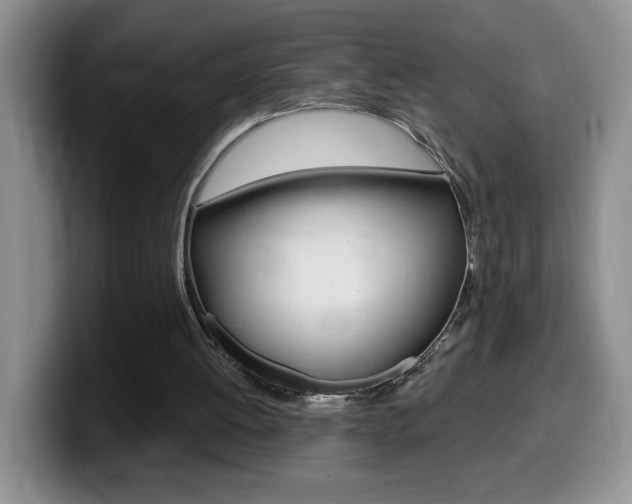 X0000099480052200805090841