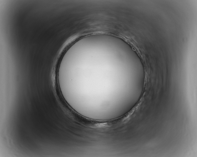 X0000099480054200805090841