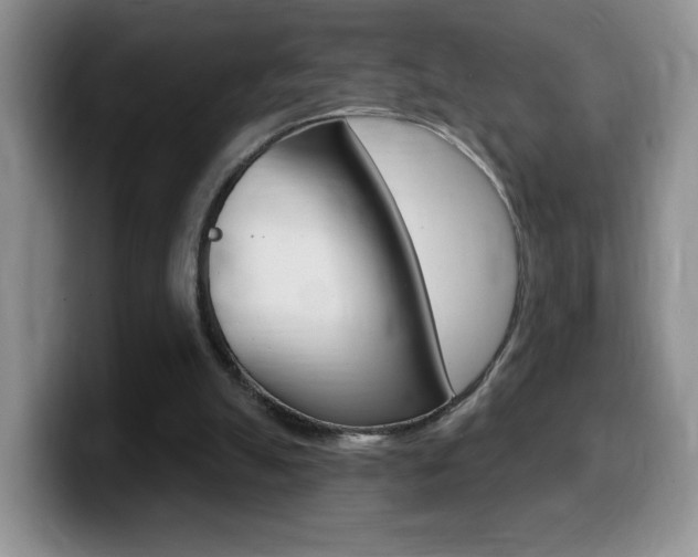 X0000099480055200805090841