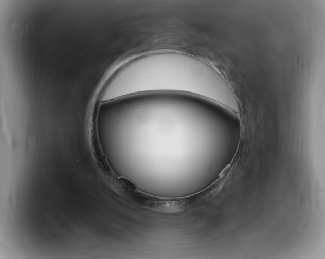 X0000099480056200805090841