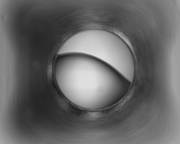X0000099480057200805090841
