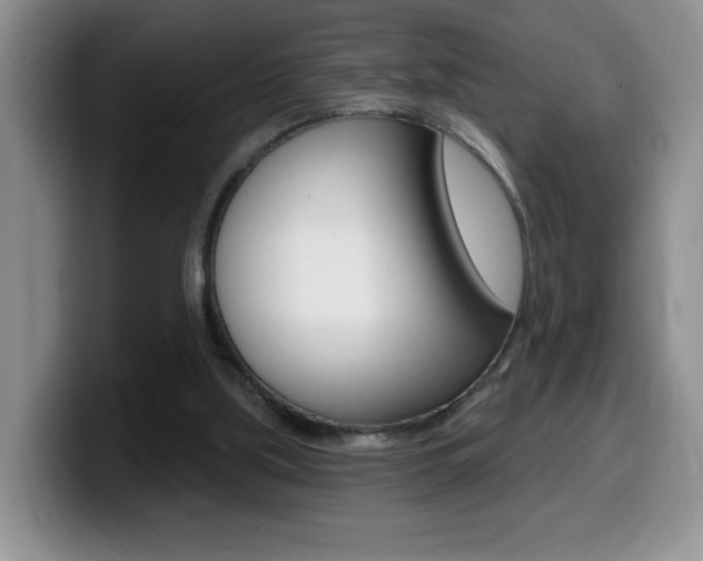 X0000099480059200805090841