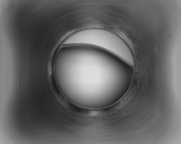 X0000099480060200805090841