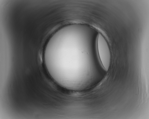 X0000099480062200805090841