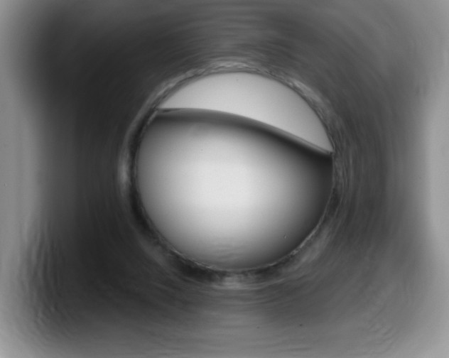 X0000099480064200805090841