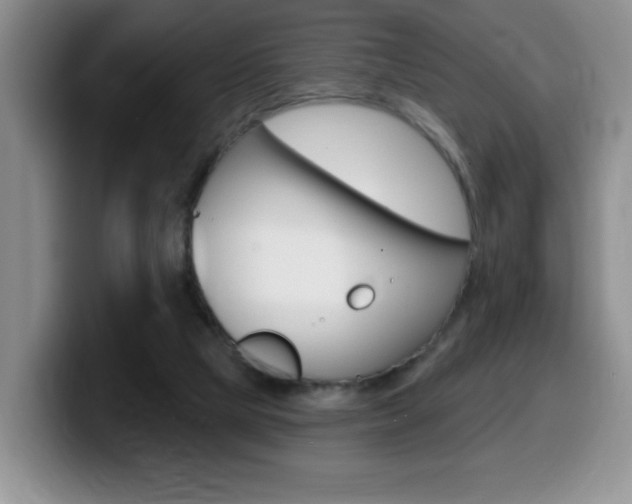 X0000099480065200805090841