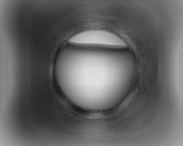 X0000099480066200805090841