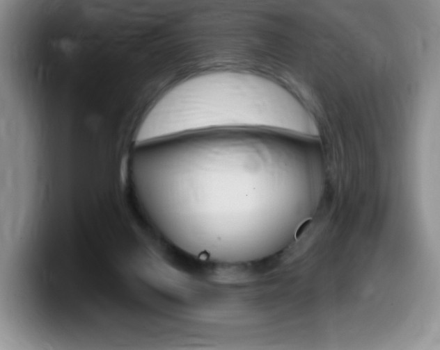 X0000099480070200805090841