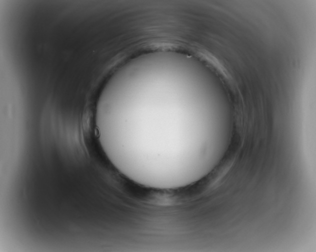 X0000099480071200805090841