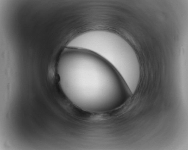 X0000099480072200805090841