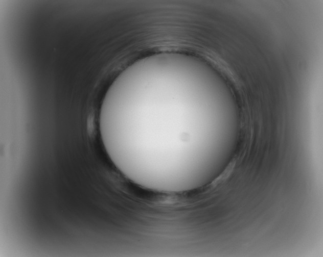 X0000099480074200805090841