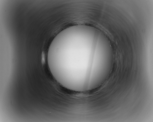 X0000099480075200805090842