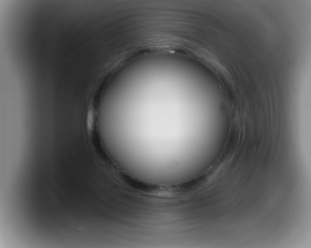 X0000099480076200805090842