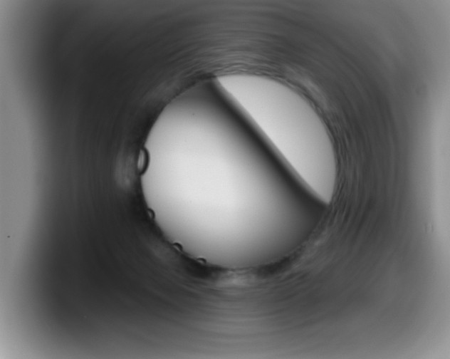 X0000099480077200805090842