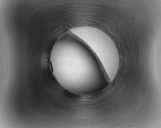 X0000099480080200805090842