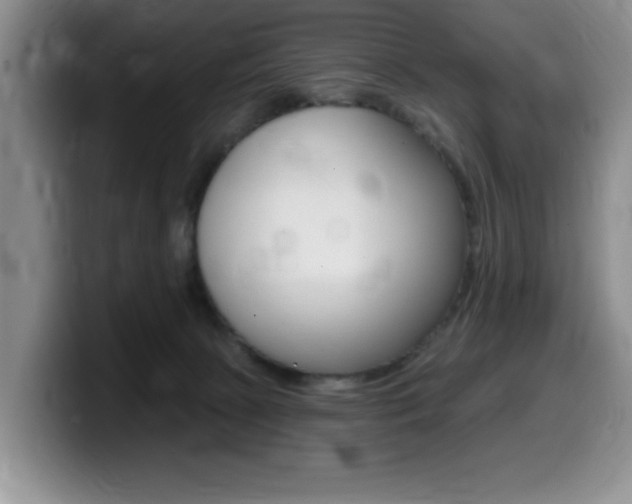 X0000099480081200805090842