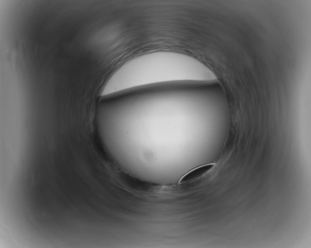 X0000099480082200805090842