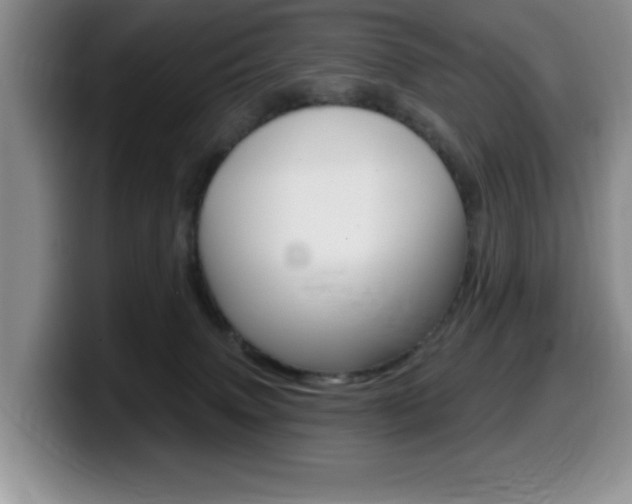 X0000099480083200805090842