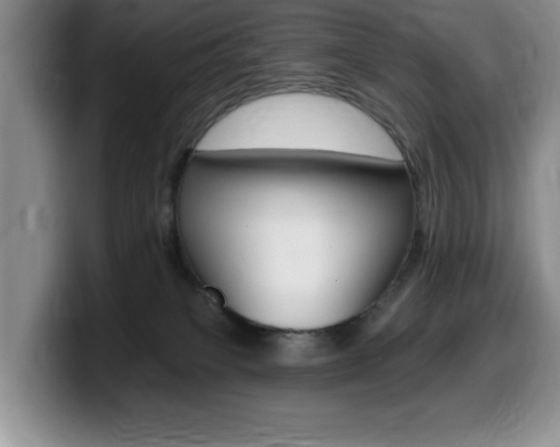 X0000099480085200805090842