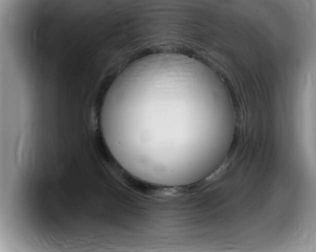 X0000099480086200805090842