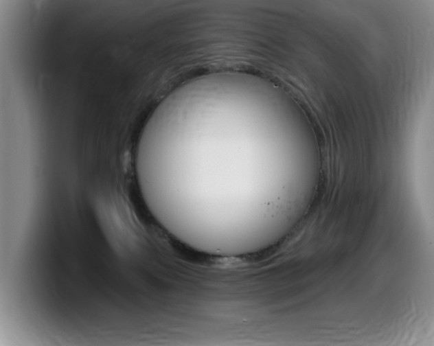 X0000099480087200805090842