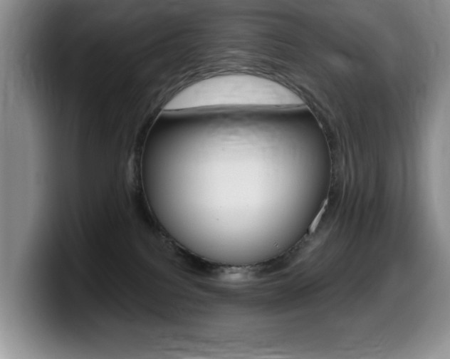 X0000099480088200805090842