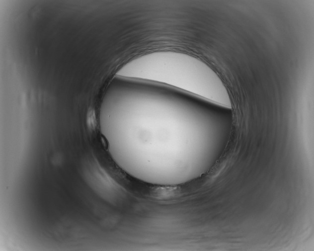 X0000099480089200805090842