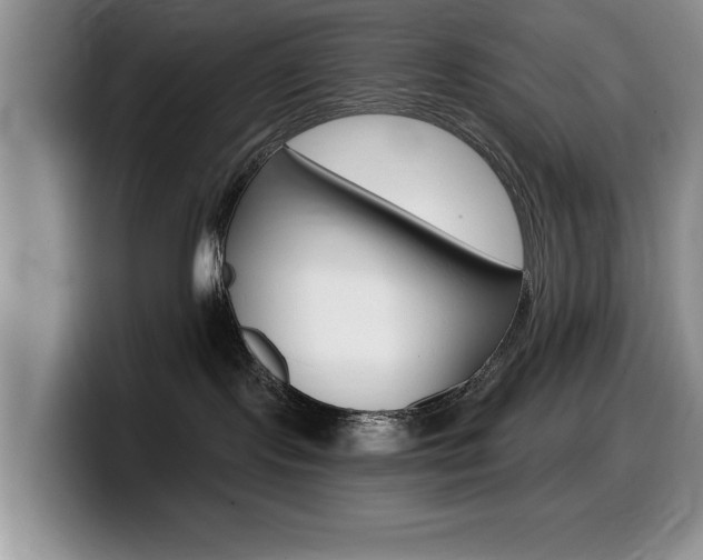 X0000099480095200805090842
