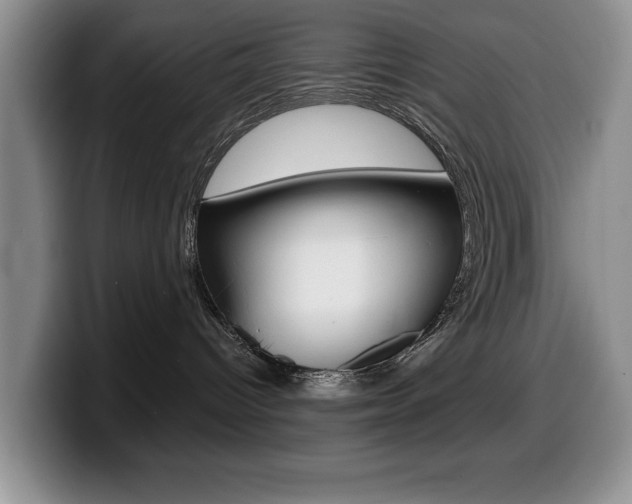 X0000099480096200805090842