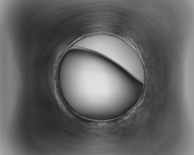 X0000099480097200805090841