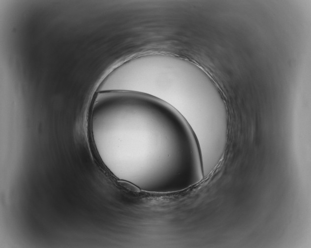 X0000099480100200805090841