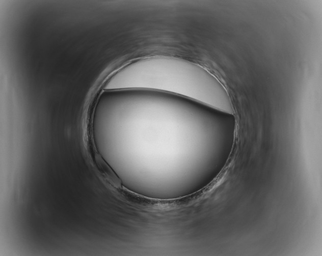 X0000099480101200805090841