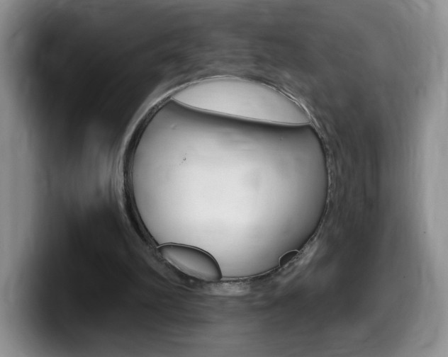 X0000099480102200805090841